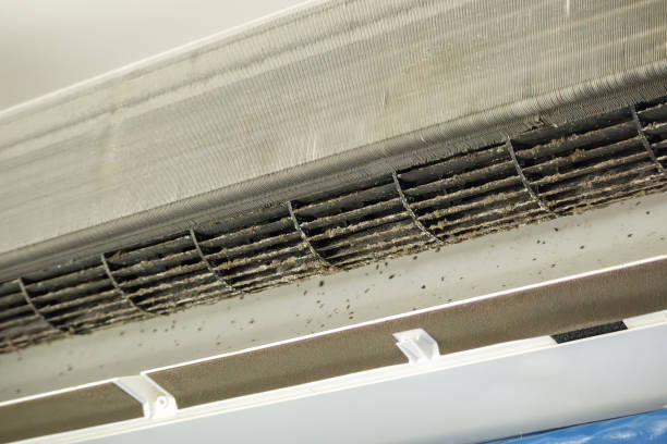 Best Professional Duct Cleaning Services  in North Tonawanda, NY